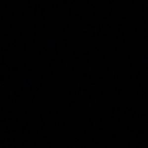 Meet your Posher, Wesley